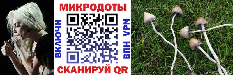KRAKEN ONION  Губкинский  Галлюциногенные грибы MAGIC MUSHROOMS 